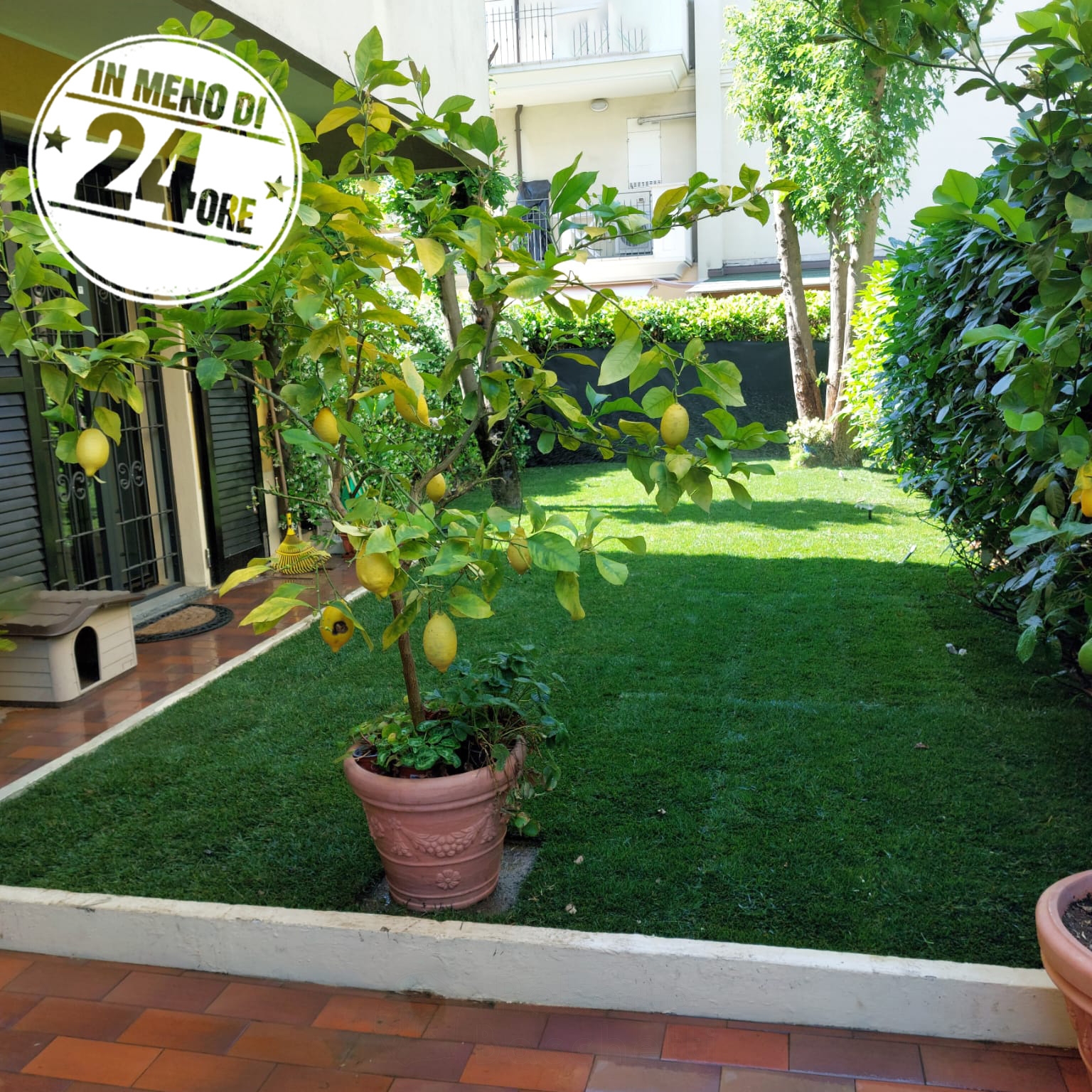 Trasforma il tuo giardino in meno di 24 ore Non rinunciare al tuo spazio verde